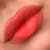 Υγρό Ματ Κραγιόν "The Lipstick Gipsy"